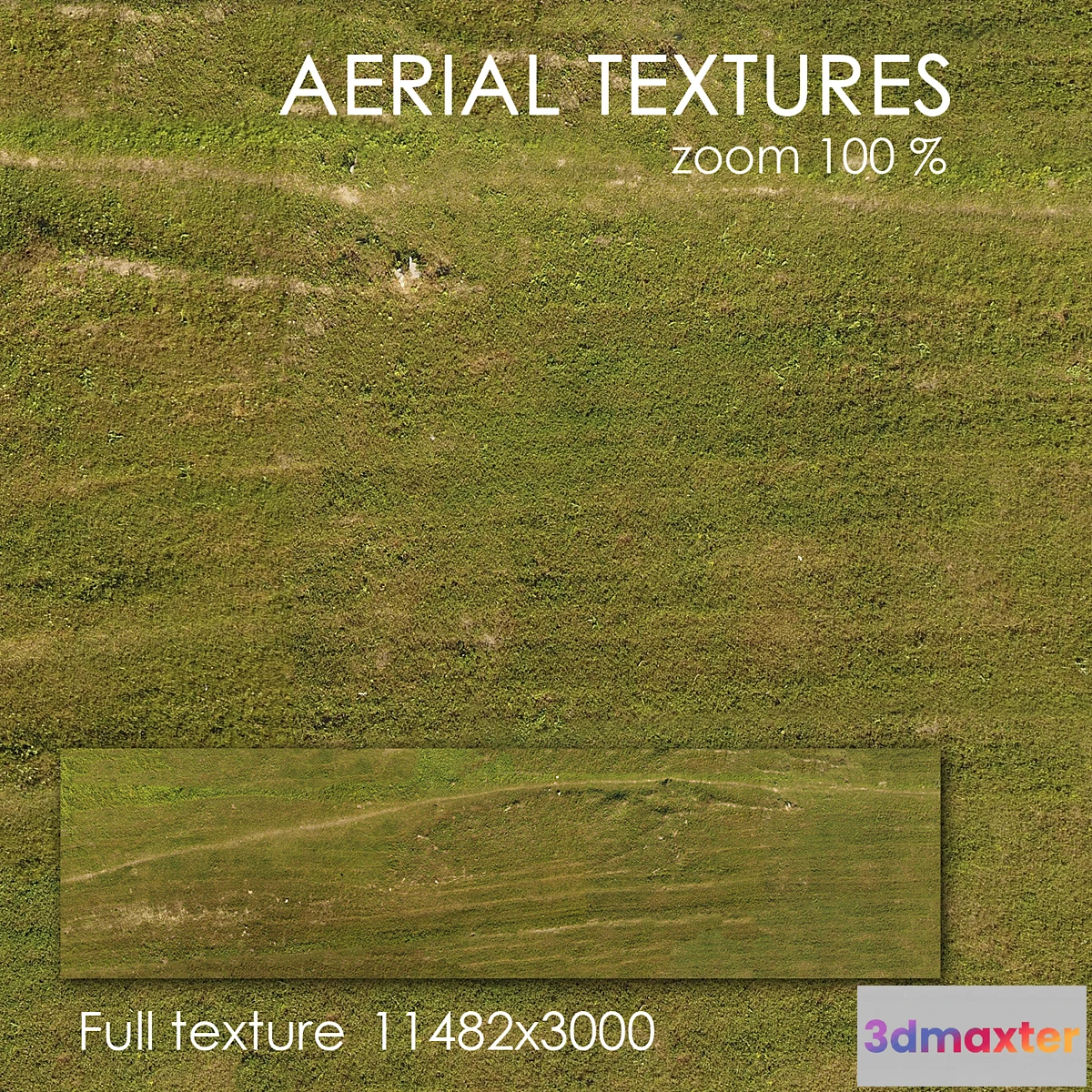 1350981 - Field with grass 49 3D Max