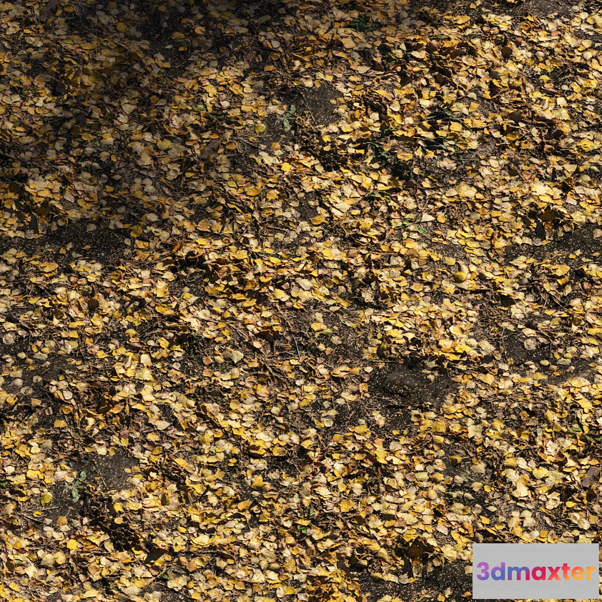 1442772 - Foliage Autumn 3D Max