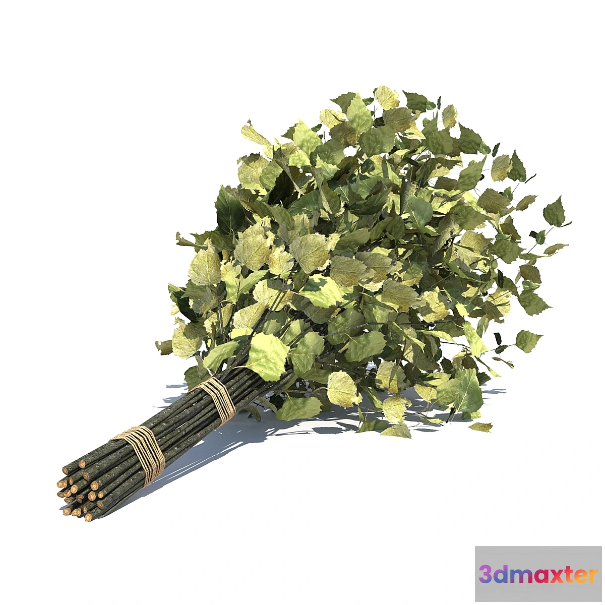 1465010 - Birch broom for a bath or sauna 3D Max