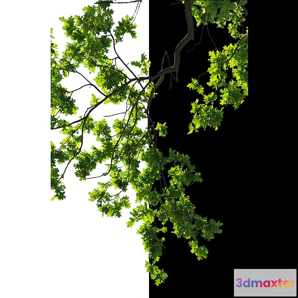 1477720 - Cut out trees 3D Max