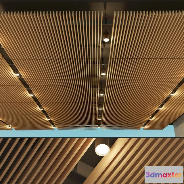 1556571 - Suspended ceiling rack. 14 3D Max