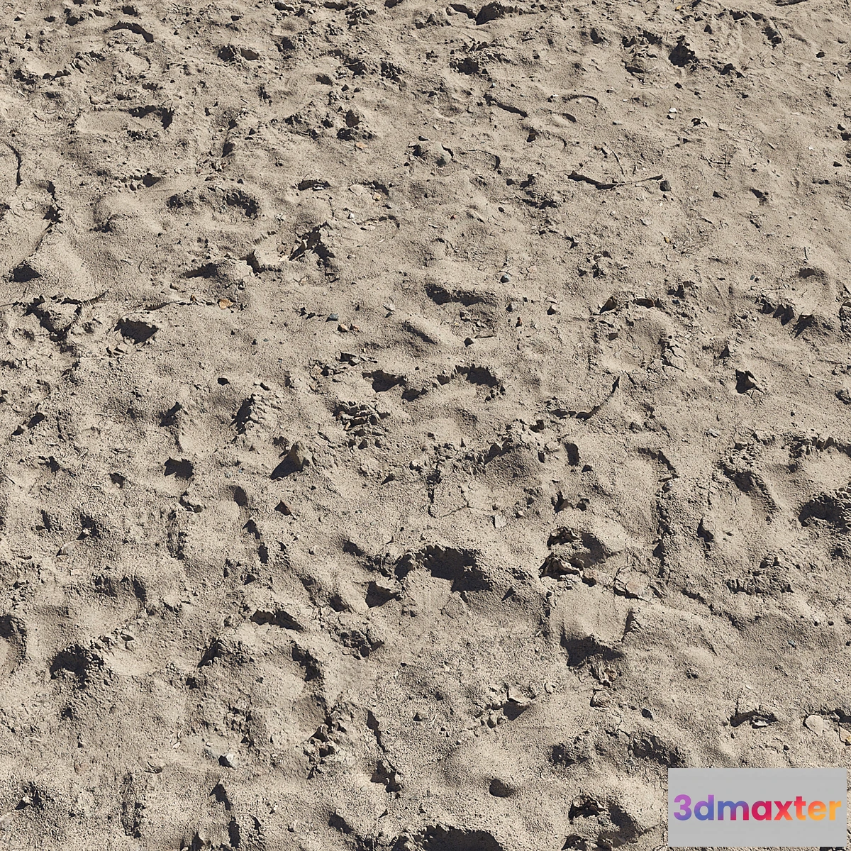 753023 - Sand beach_5