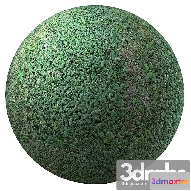 1054502 - Natural materials Grass