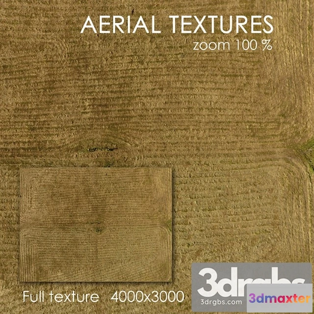 999306 - Field with grass