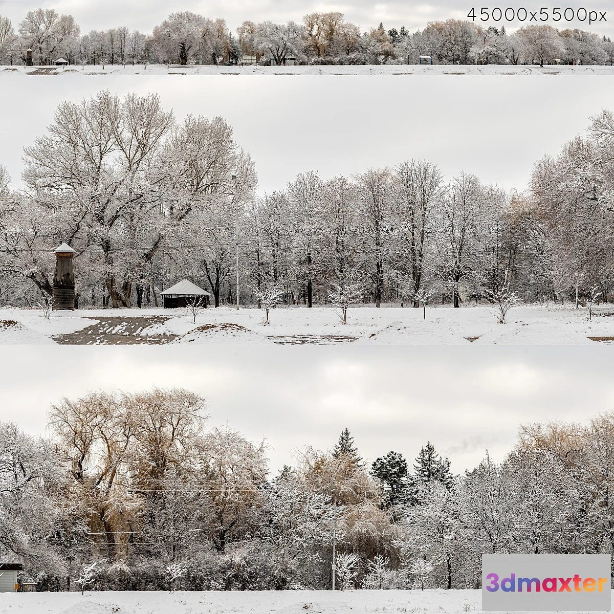541647 - Panorama of the park and snow-covered trees. 45k