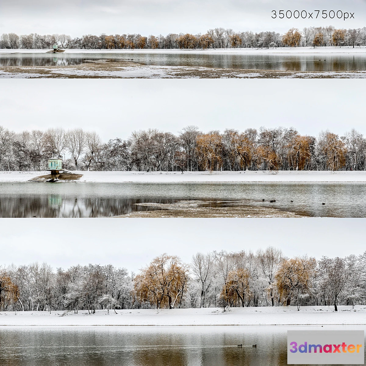590026 - Panorama of the park with a lake and snow-covered trees. 35k