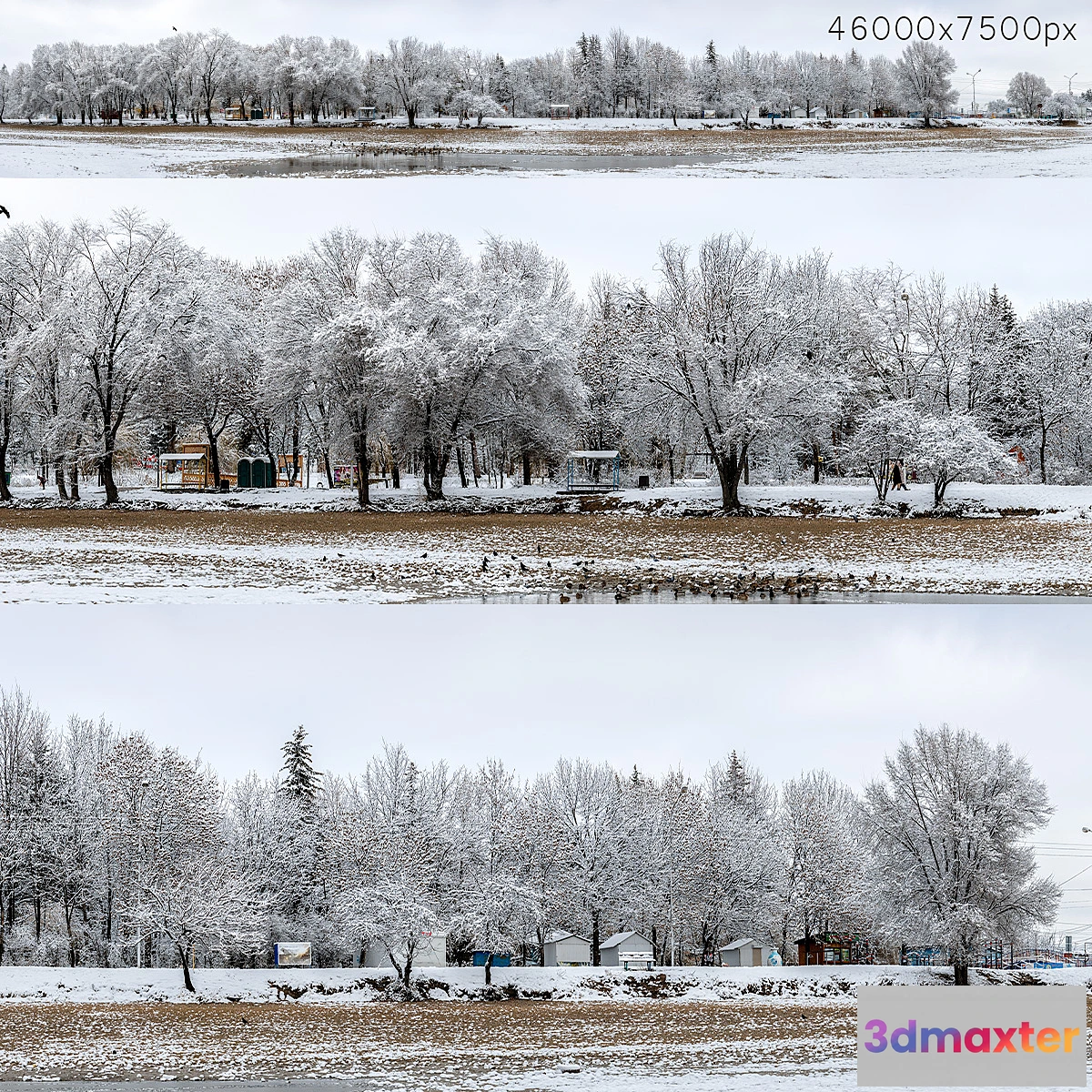 590032 - Panorama of the park with a lake and snow-covered trees. 46k