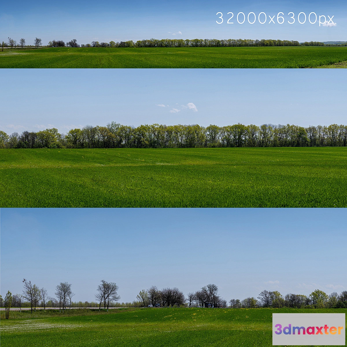 701270 - Panorama of a green field with flowers and trees. 32k