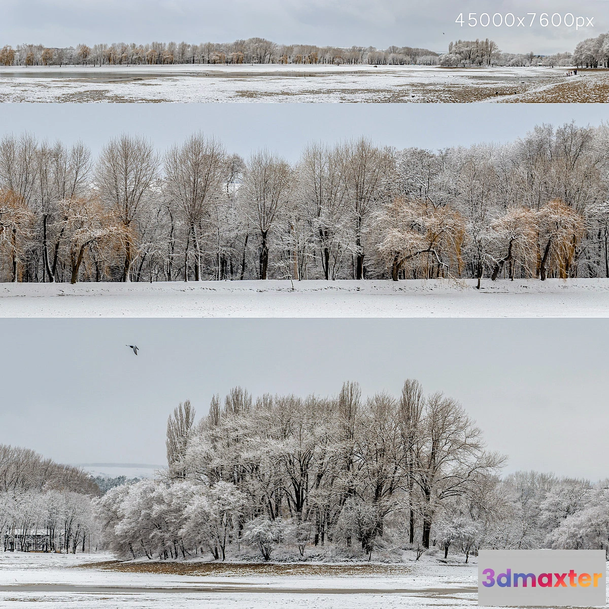 701288 - Panorama of the park with a lake and snow-covered trees. 45k