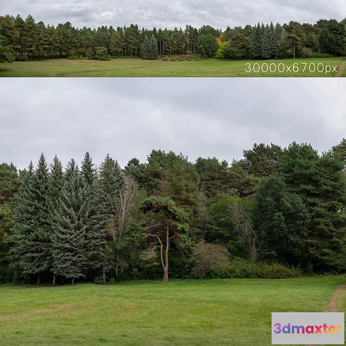 701290 - Autumn panorama with trees. 30k