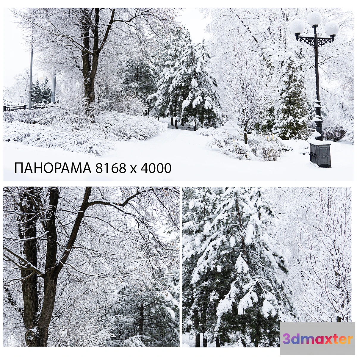 701294 - Winter background