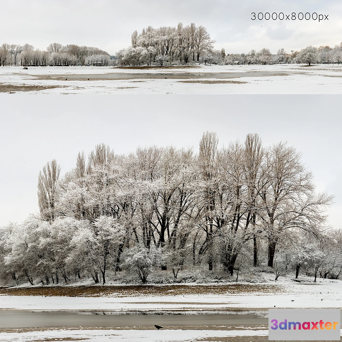 701298 - Panorama of the park with a lake and snow-covered trees. 30k