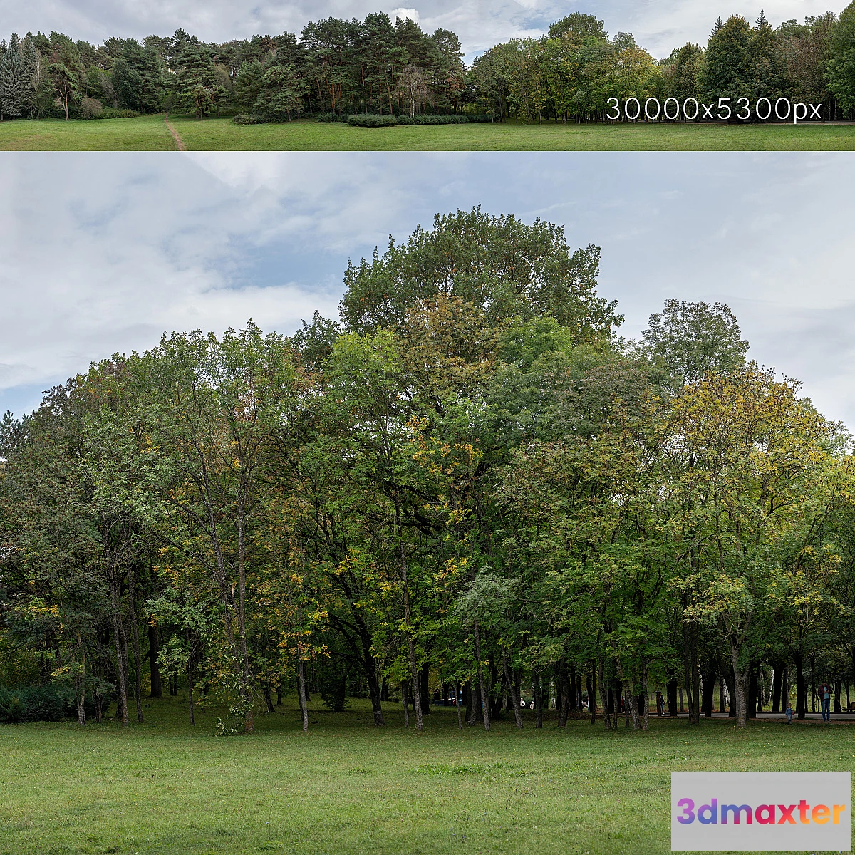 701302 - Autumn panorama with trees v2. 30k