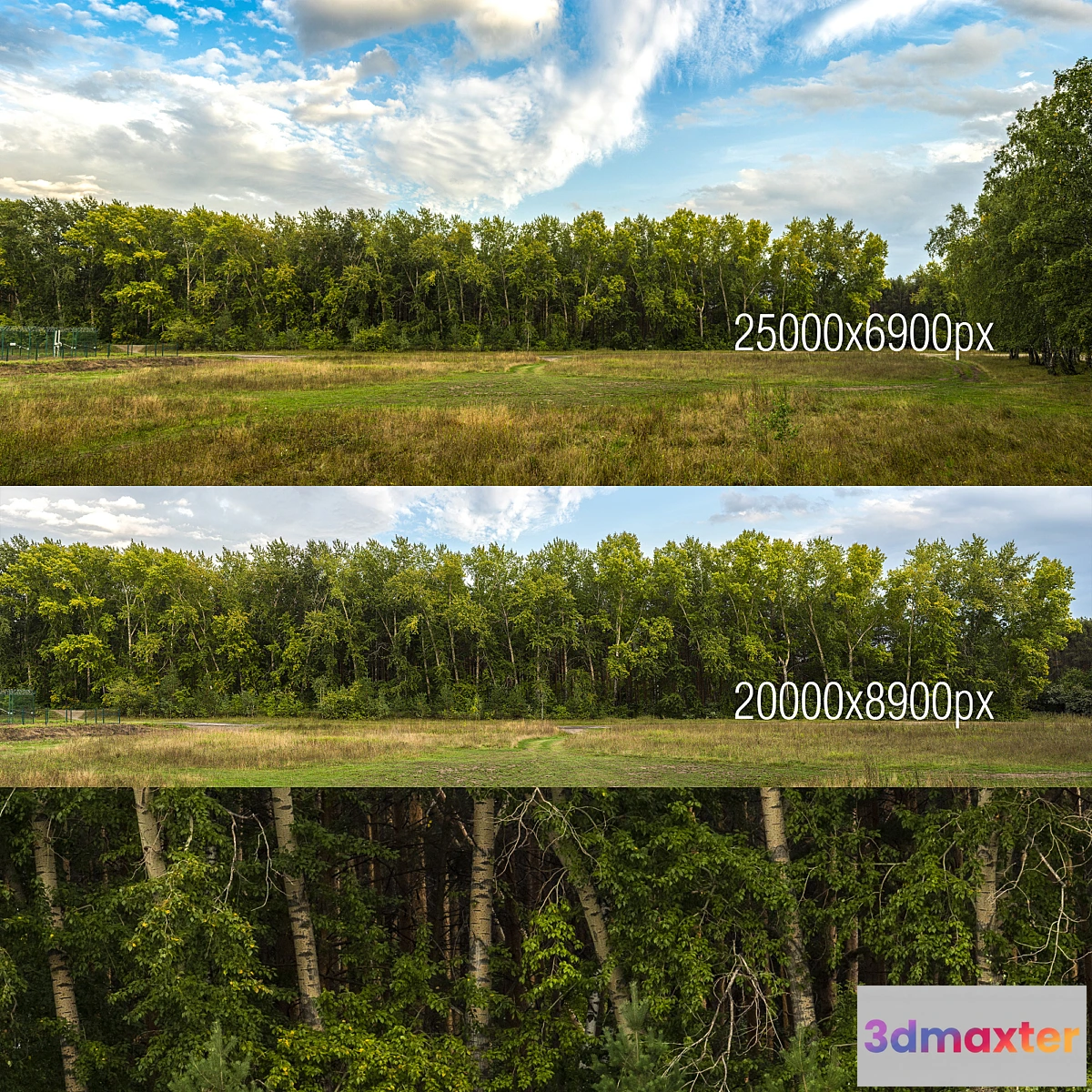 752619 - Poplar panoramas