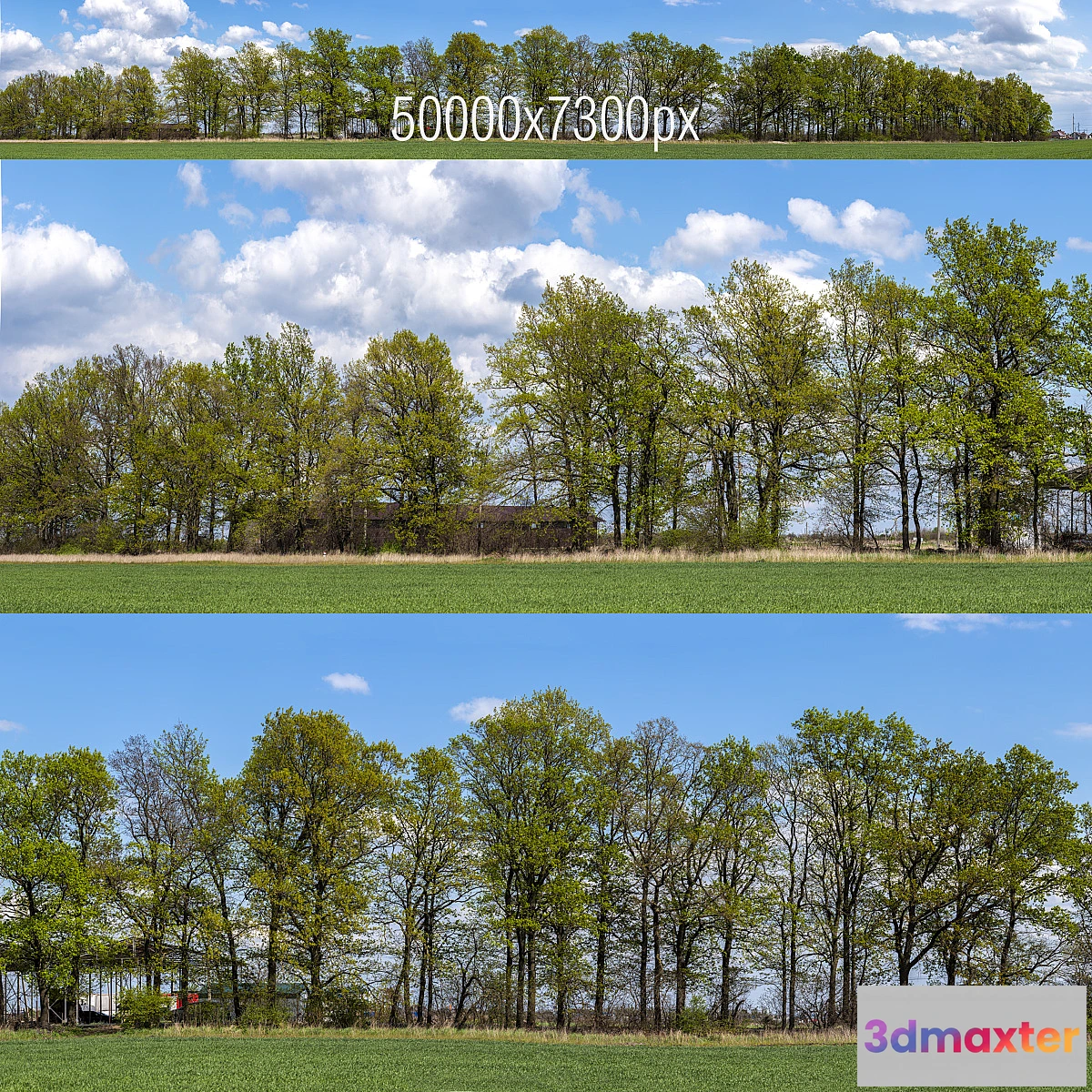 752623 - Panorama with Trees v2. 50k