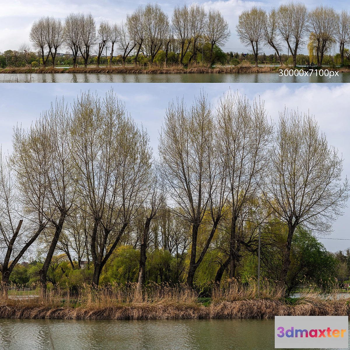 886512 - Spring panorama from the park with a lake and verdant trees. 30k - No.2