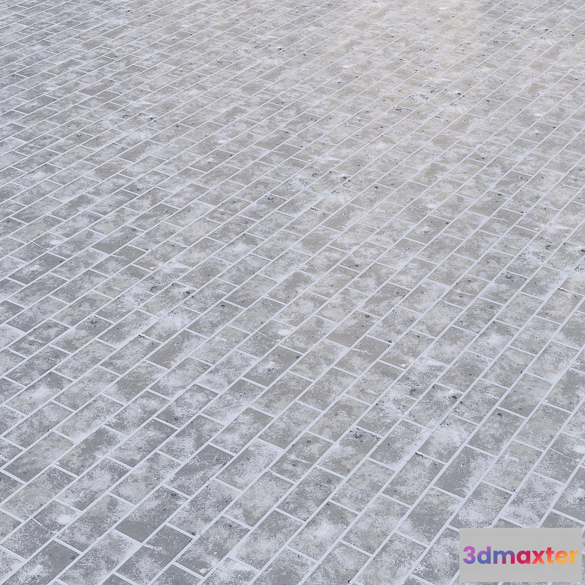 1393706 - Texture of snow-covered paving stones 3D Max