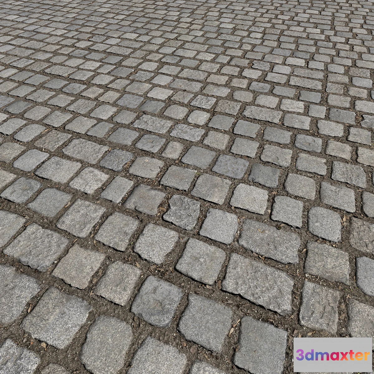 1421378 - Cobblestones_1 3D Max