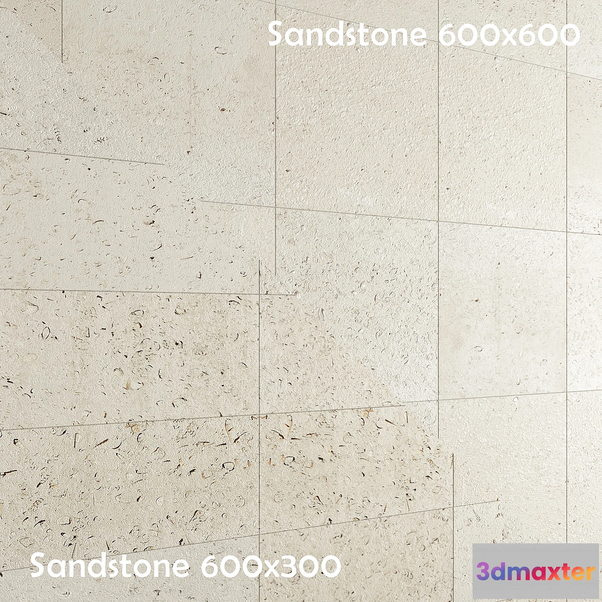 651351 - Rakushnjak coquina