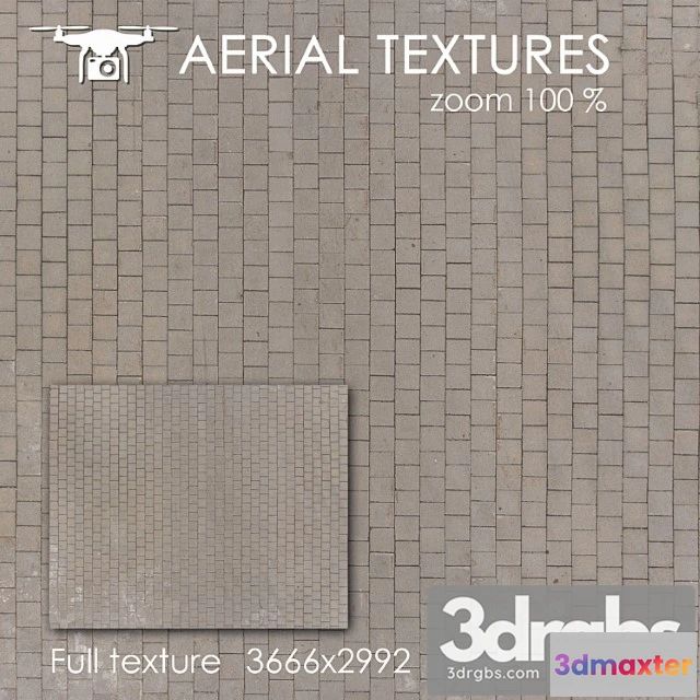 999880 - Pavement tile 31