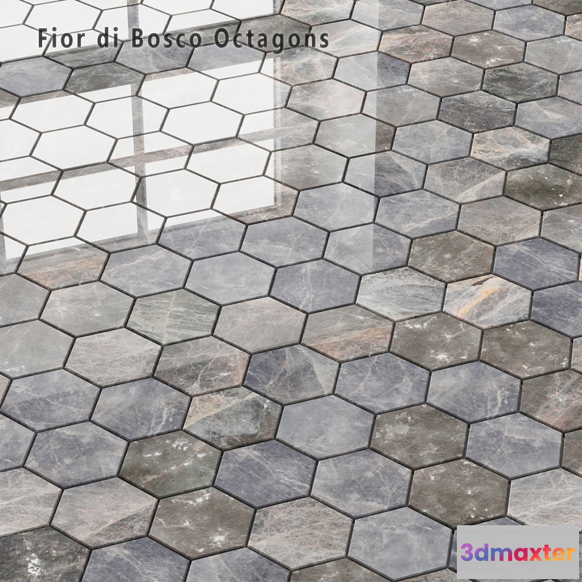 1460548 - Tile Sicis SiciStone Fior di Bosco Exagon 3D Max
