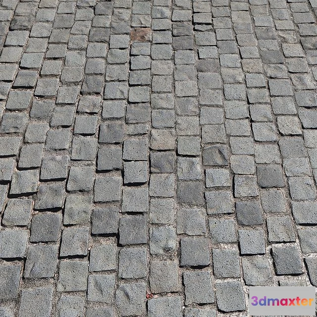 1552175 - Paving slabs_11 3D Max