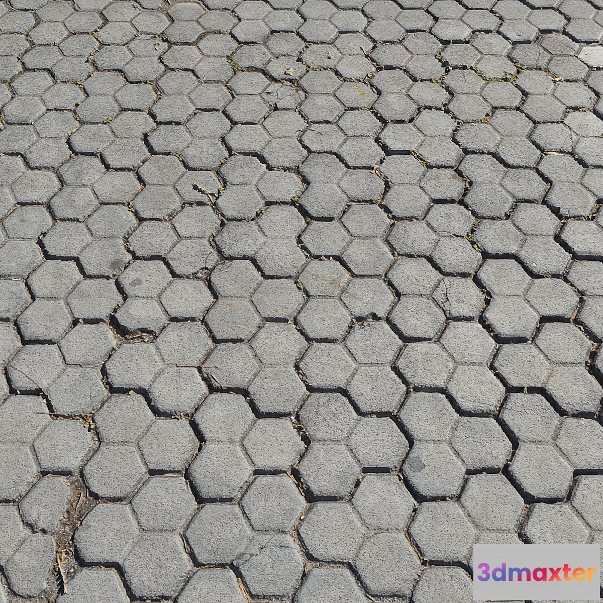 720876 - Pavement tiles_7 - No.2