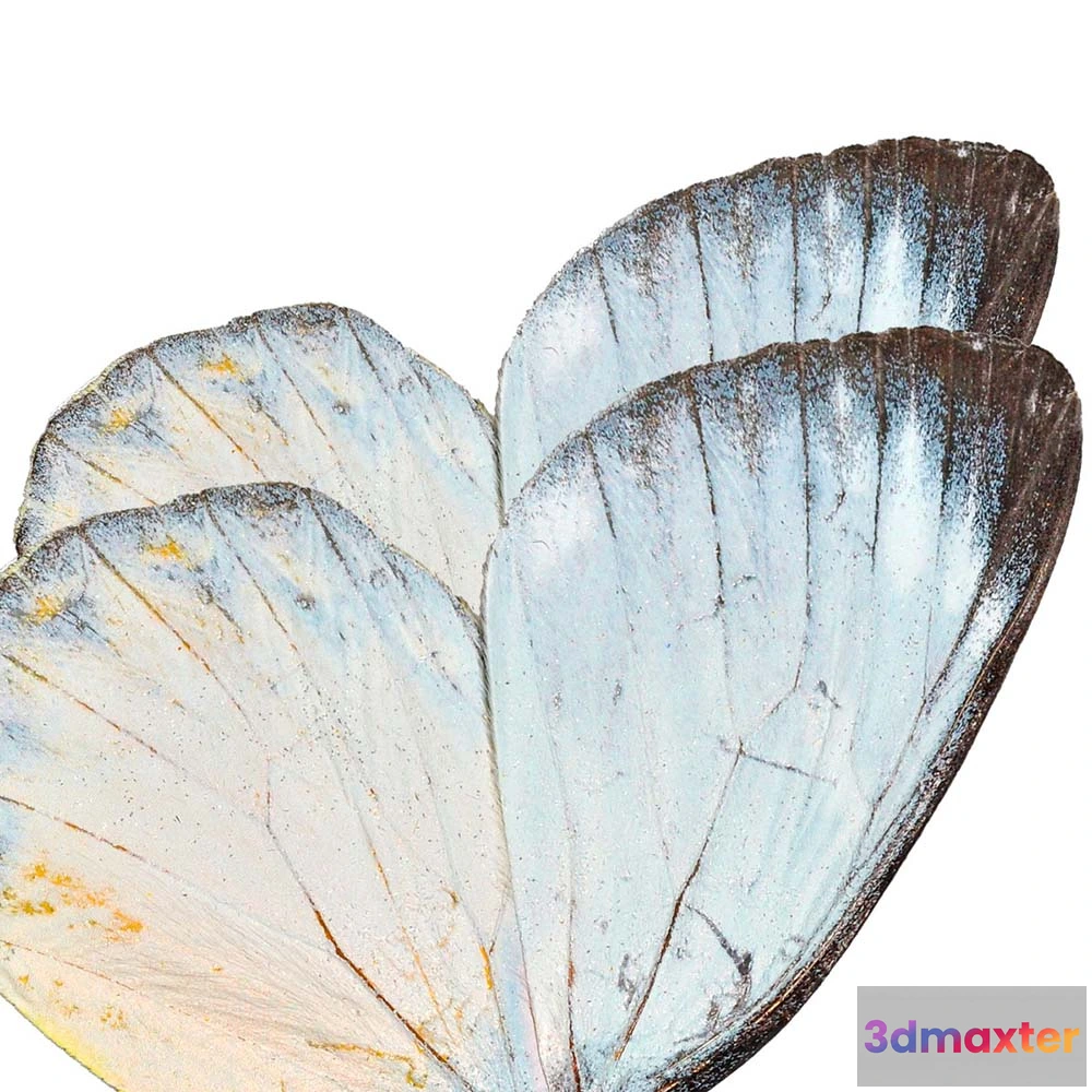 1674625 - Affreschi & Affreschi  - Wallpaper SL-67D 3D Max