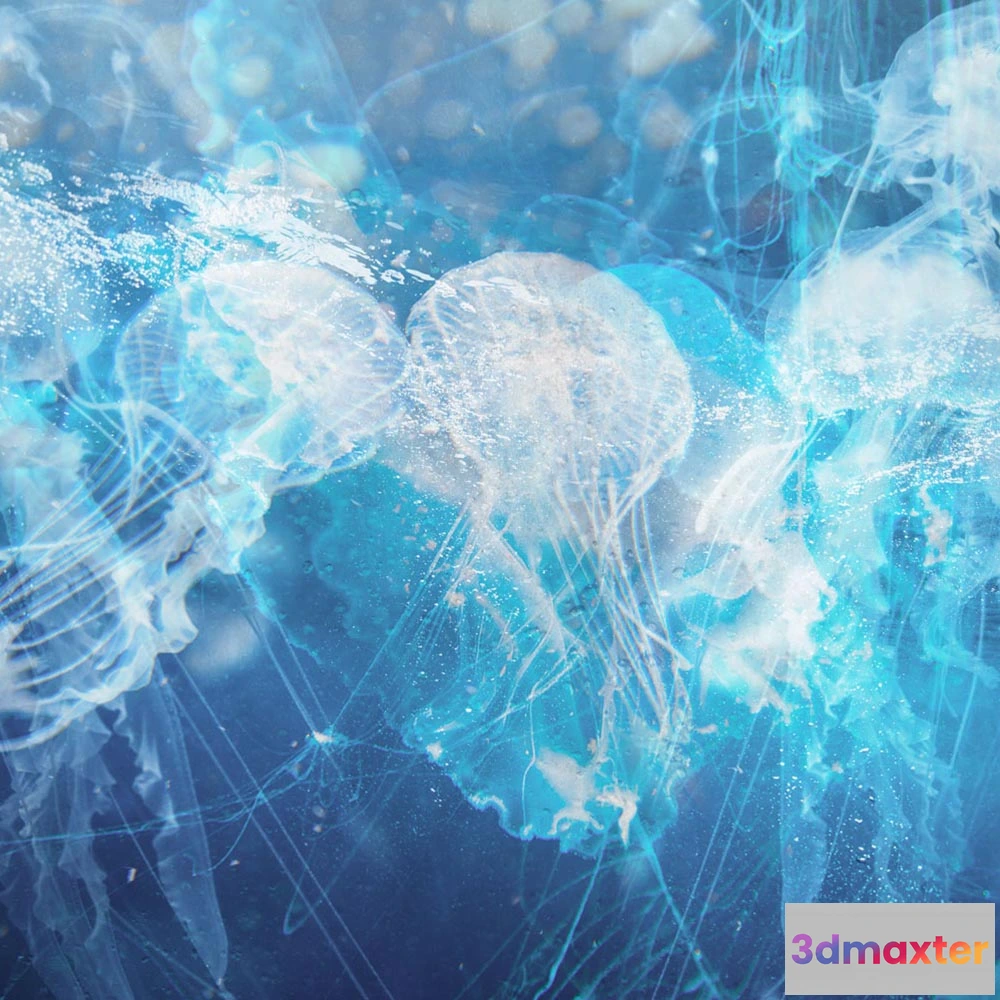 1674699 - Affreschi & Affreschi  - Wallpaper AH-39D 3D Max