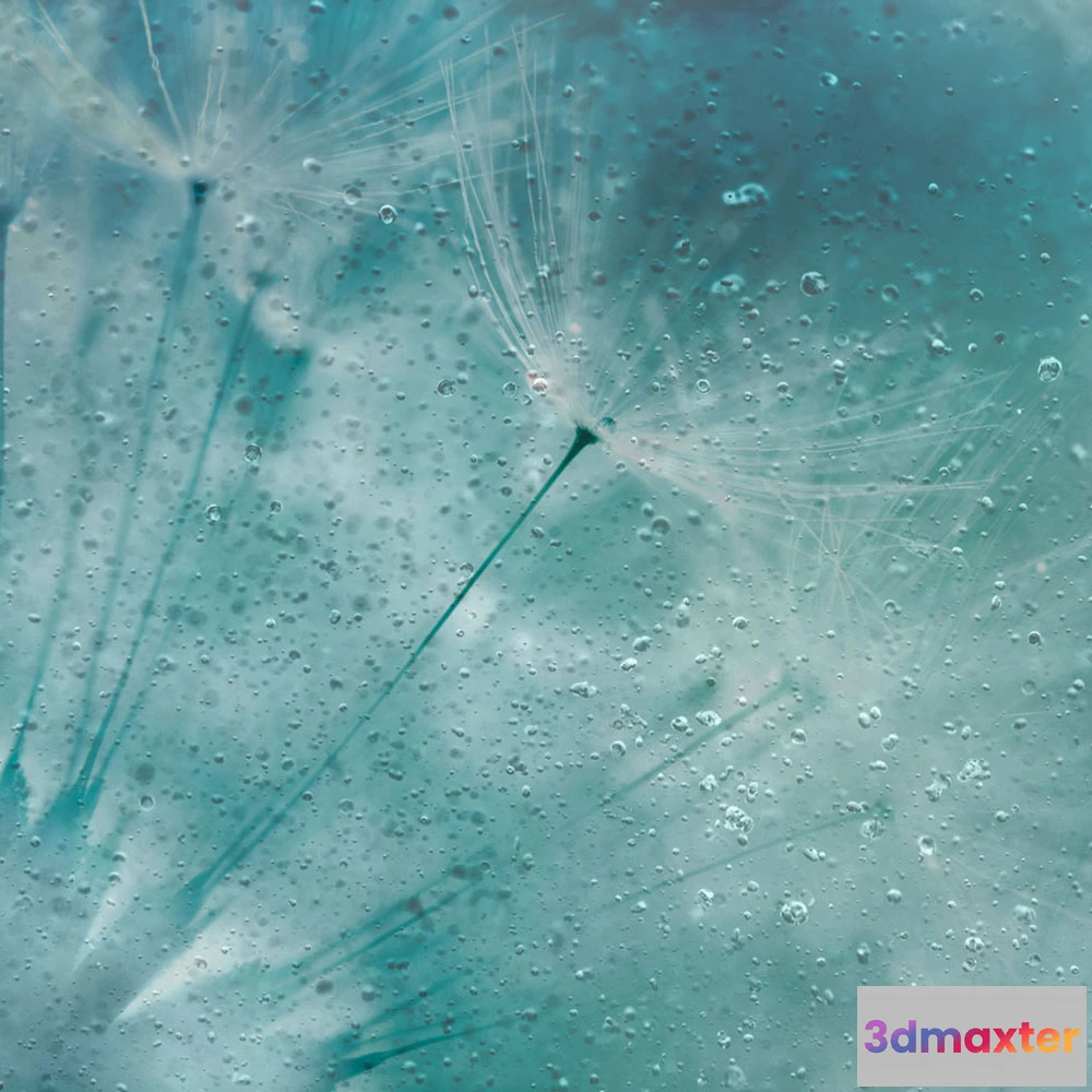 1674747 - Affreschi & Affreschi  - Wallpaper AY-49 3D Max