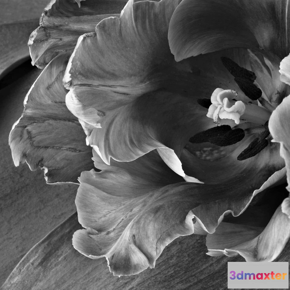 1674793 - Affreschi & Affreschi  - Wallpaper AY-68 3D Max