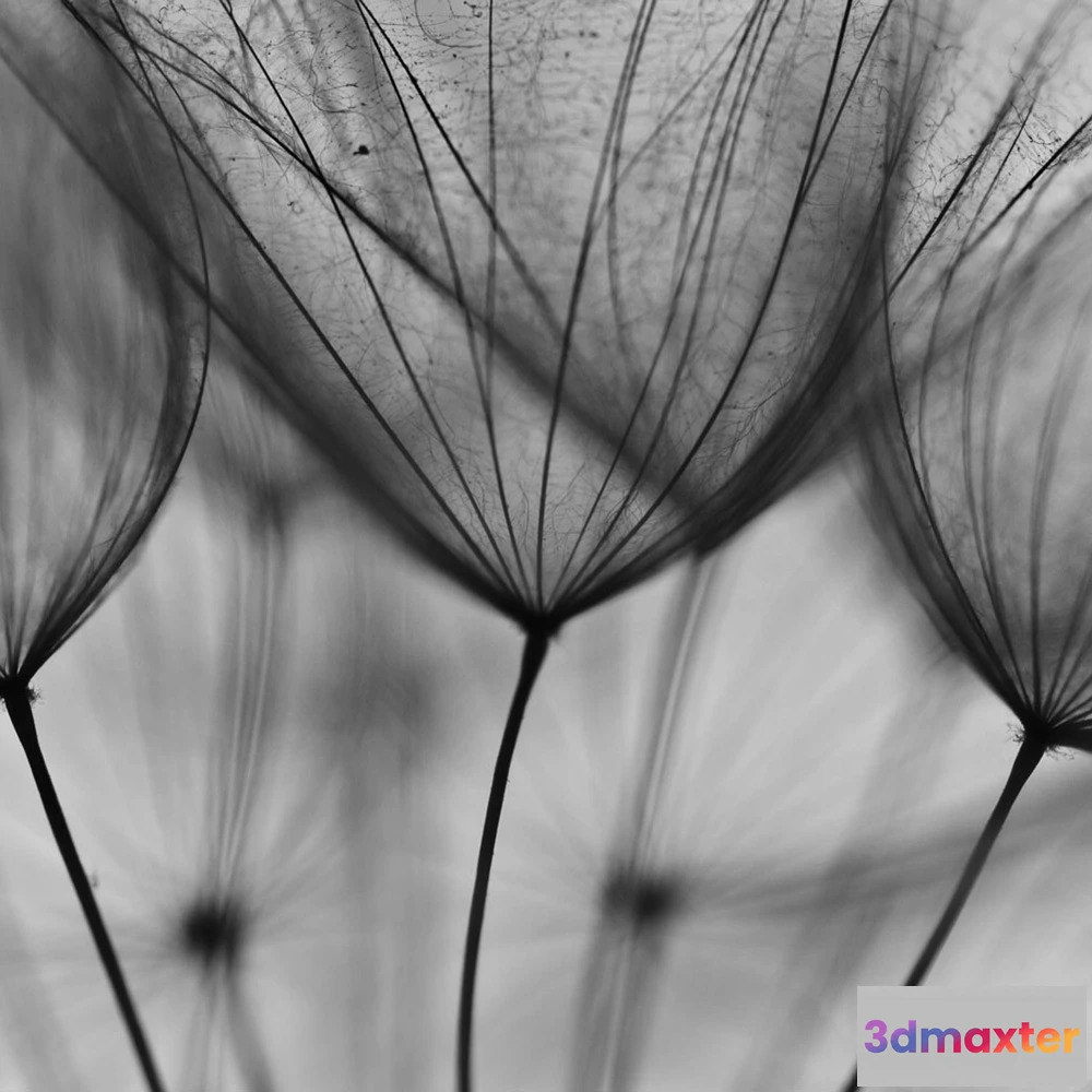 1674797 - Affreschi & Affreschi  - Wallpaper AY-76 3D Max