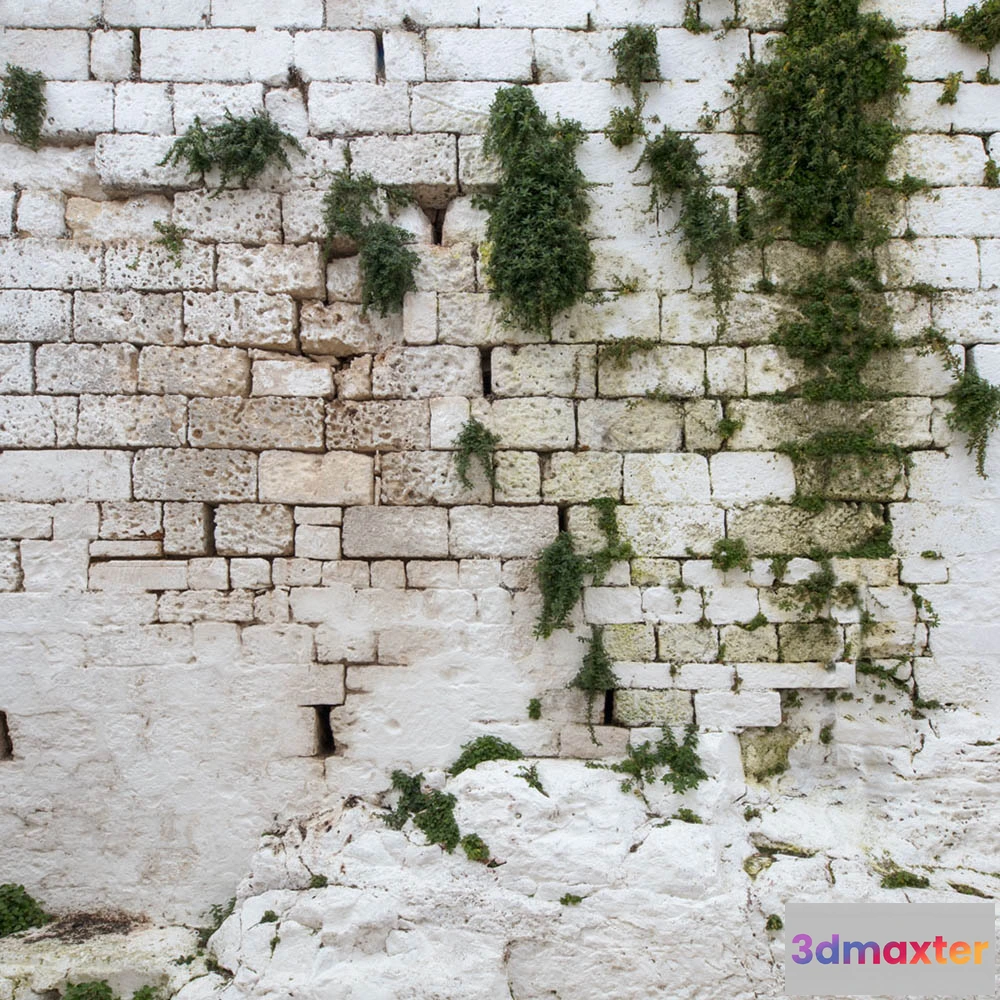 1674857 - Affreschi & Affreschi  - Wallpaper AY-156 3D Max