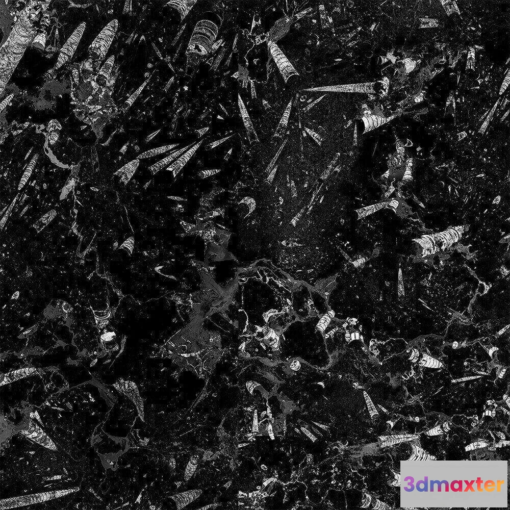 1674999 - Alumoart - Interior panel Fossil Nero 3D Max