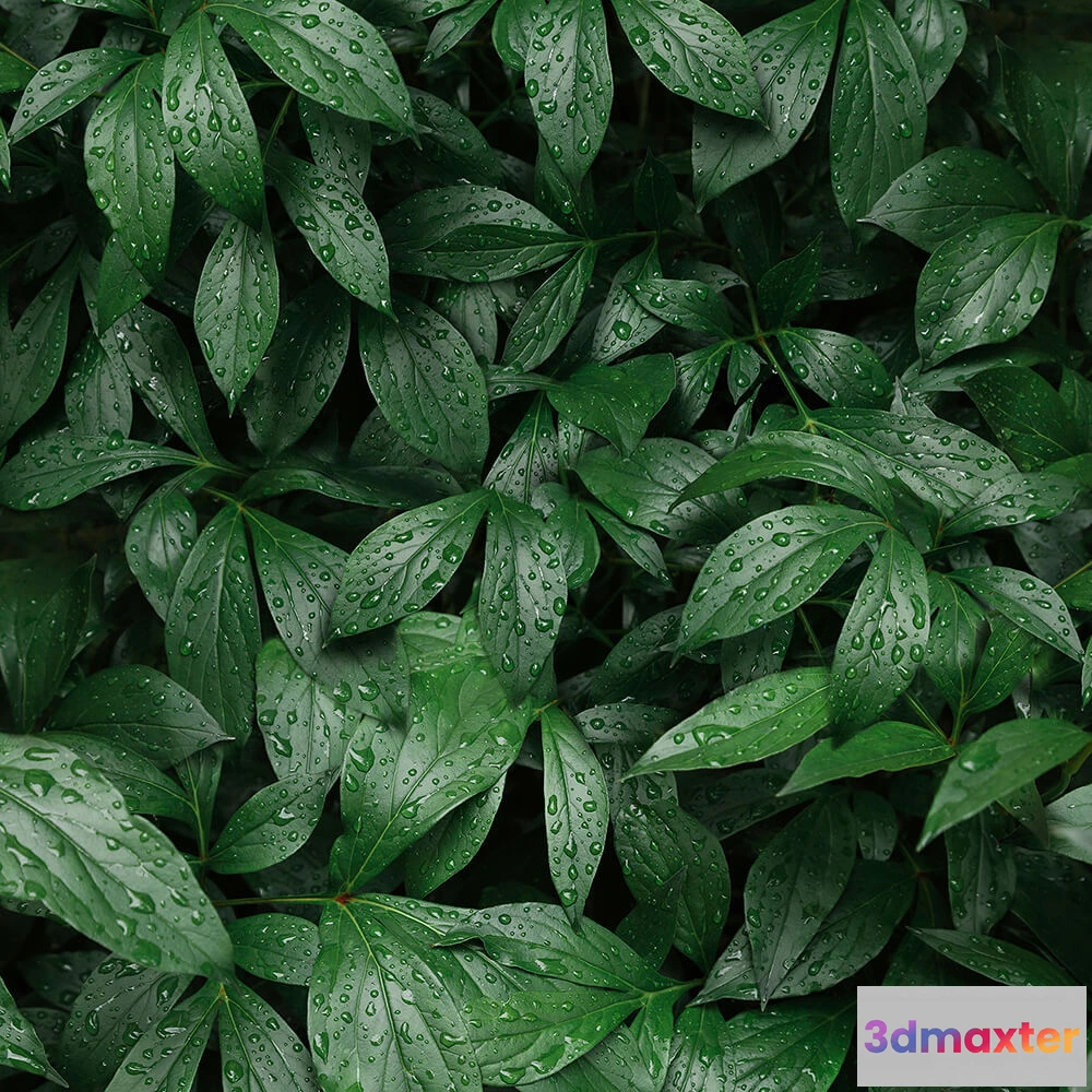 1675015 - Alumoart - Interior panel Botanical Garden 3D Max