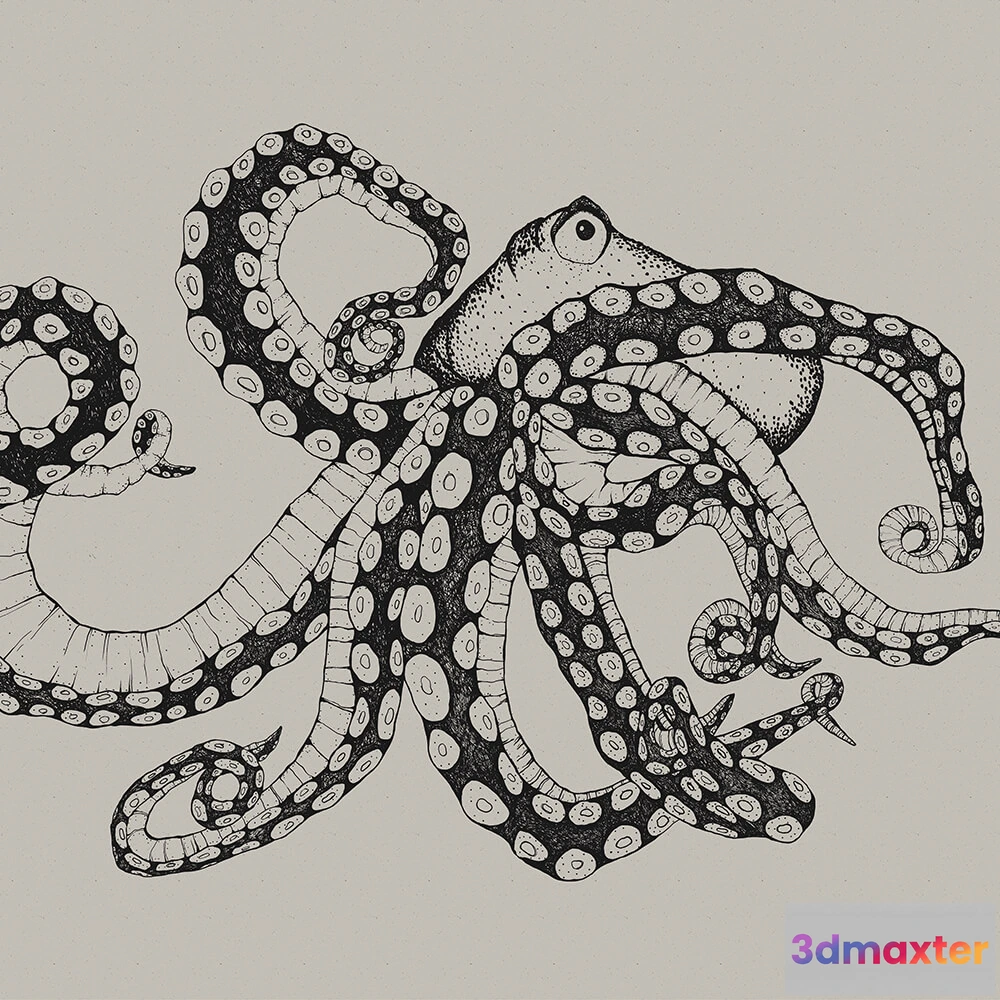 1675253 - Coordonné - Wallpaper Octopus XRay 3D Max