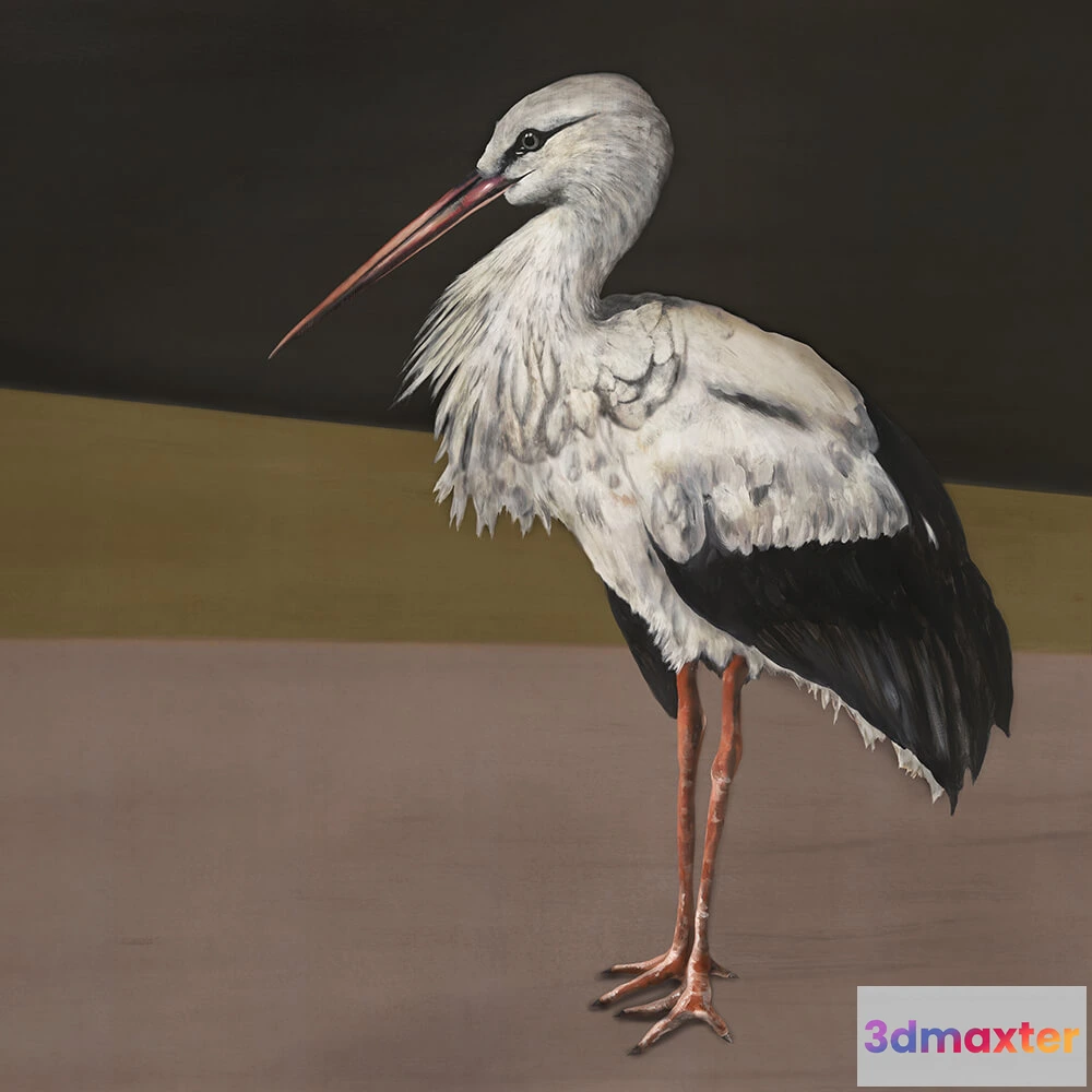 1675259 - Coordonné - Wallpaper Stork Mother 3D Max