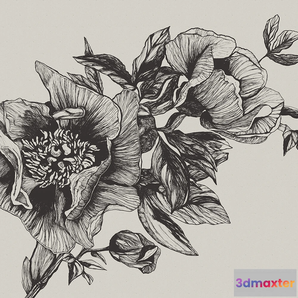 1675279 - Coordonné - Wallpaper Giant Peonies 3D Max