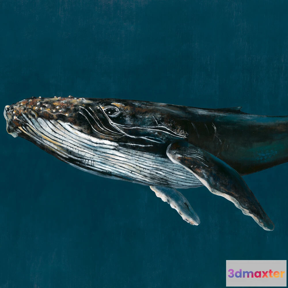 1675295 - Coordonné - Wallpaper Humpback 3D Max