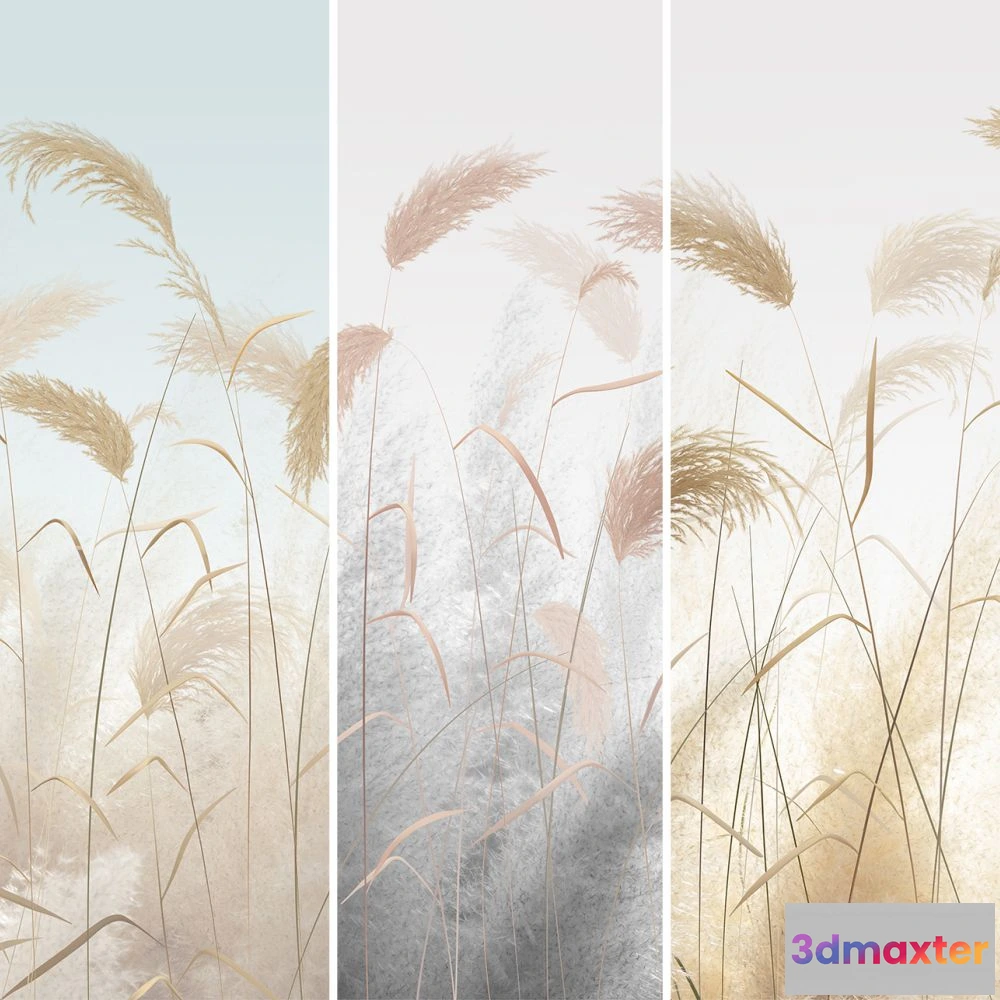 1675689 - Dress-wall - Wallpaper Pampas herbs 3D Max