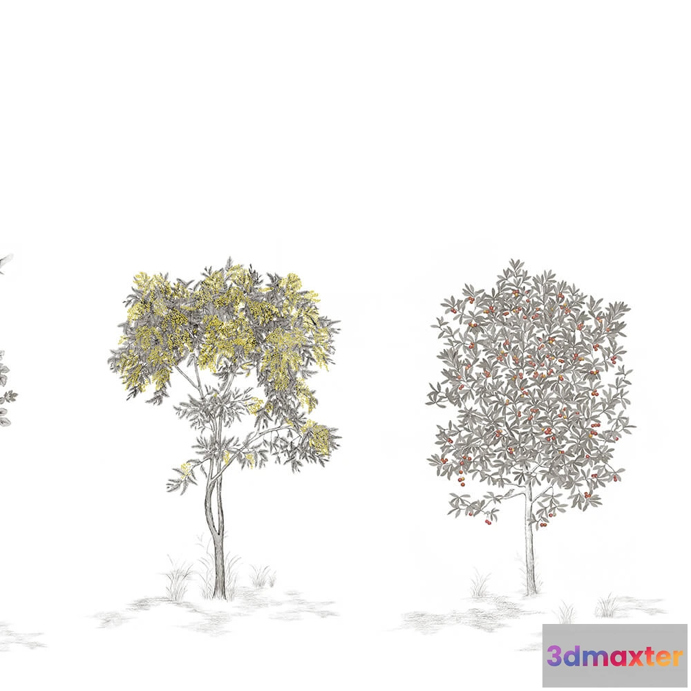 1677068 - Isidore Leroy - Wallpaper Arbustes 3D Max