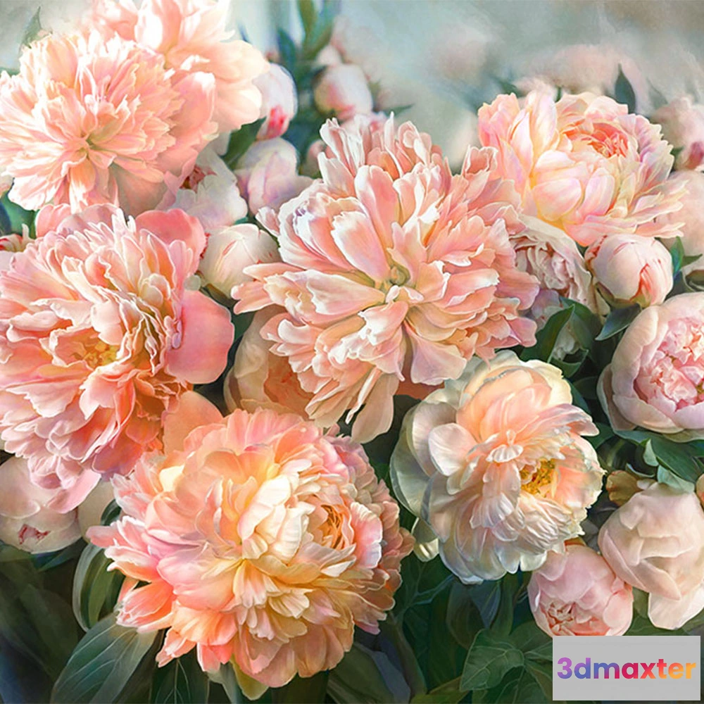 1677462 - La Stanza - Flora 800250 3D Max