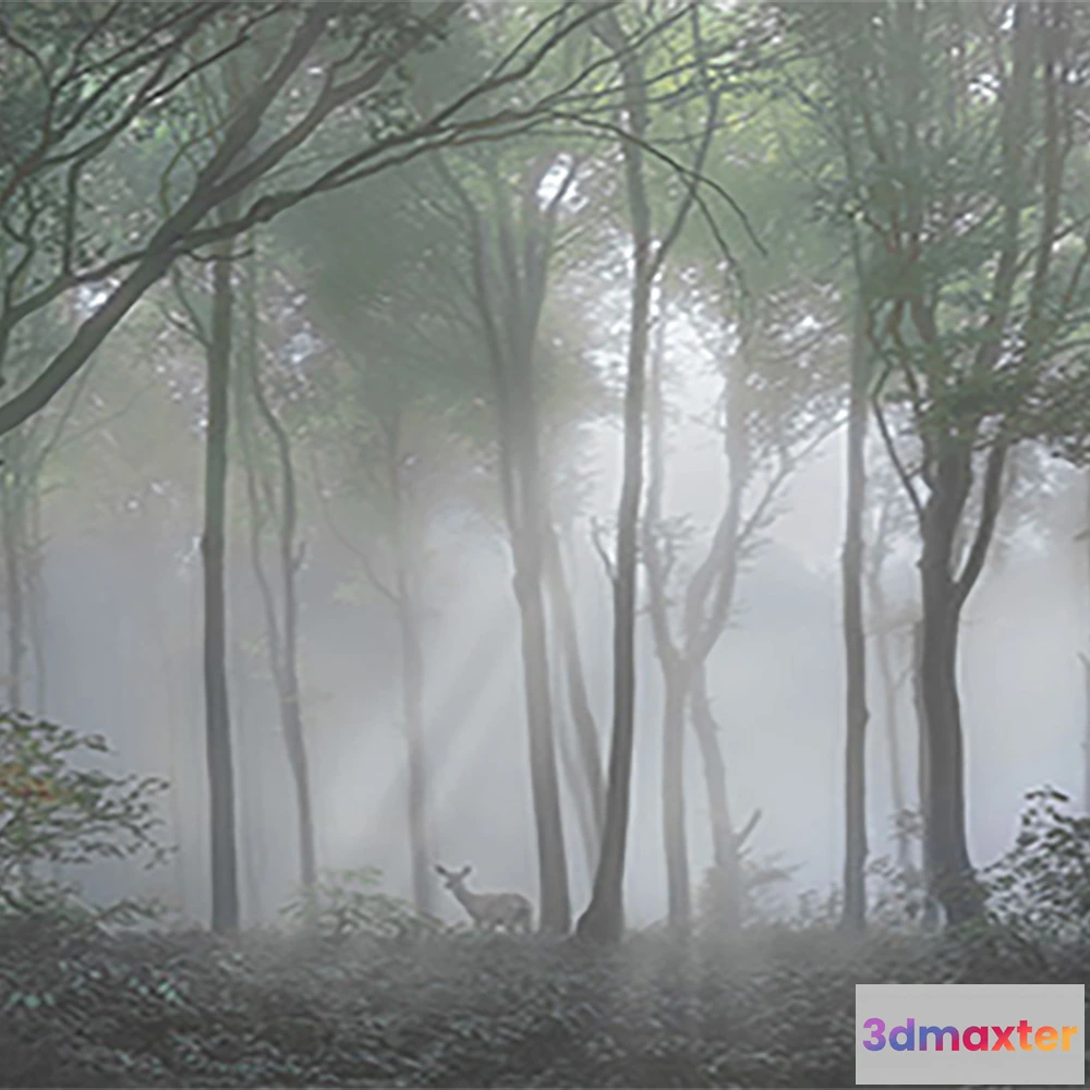 1677488 - La Stanza - Natura 800170 3D Max