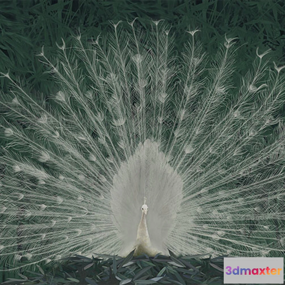 1677494 - La Stanza - Natura 800140 3D Max