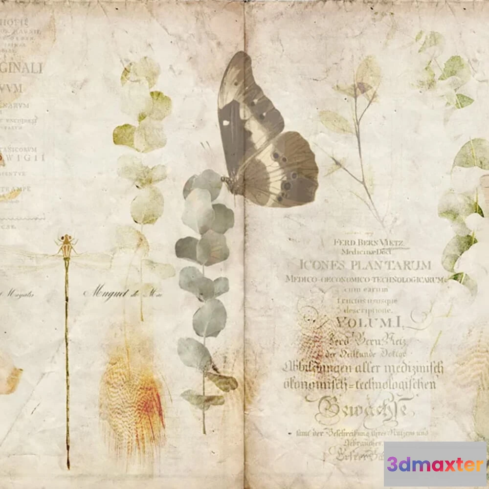 1679230 - Officinarkitettura - Wallpaper Nature Book 3D Max