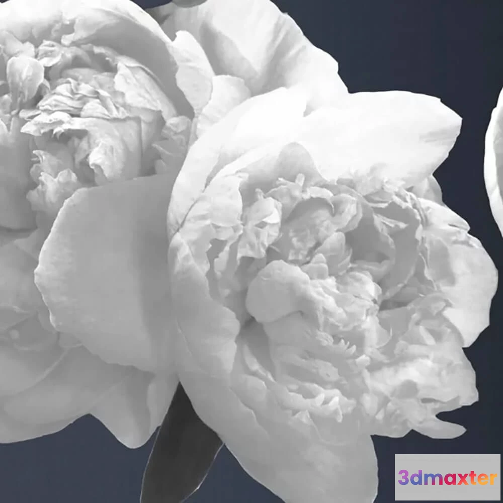 1679432 - Officinarkitettura - Wallpaper Instant God 3D Max