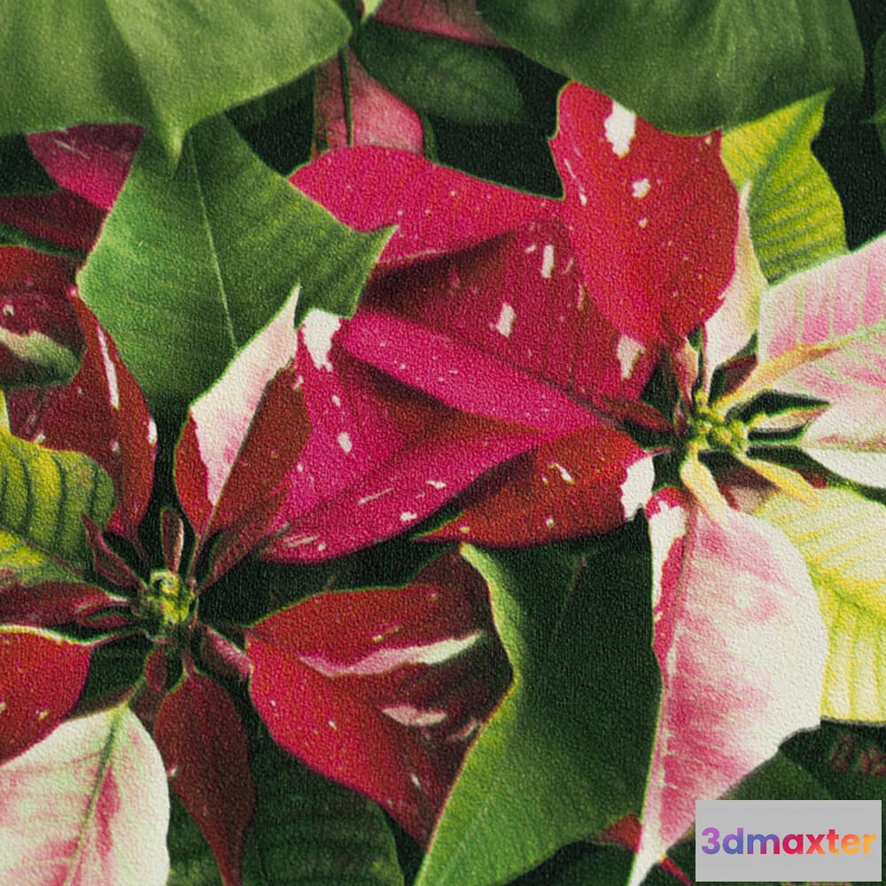 1679856 - PALITRA - Wallpaper Bambu 3D Max