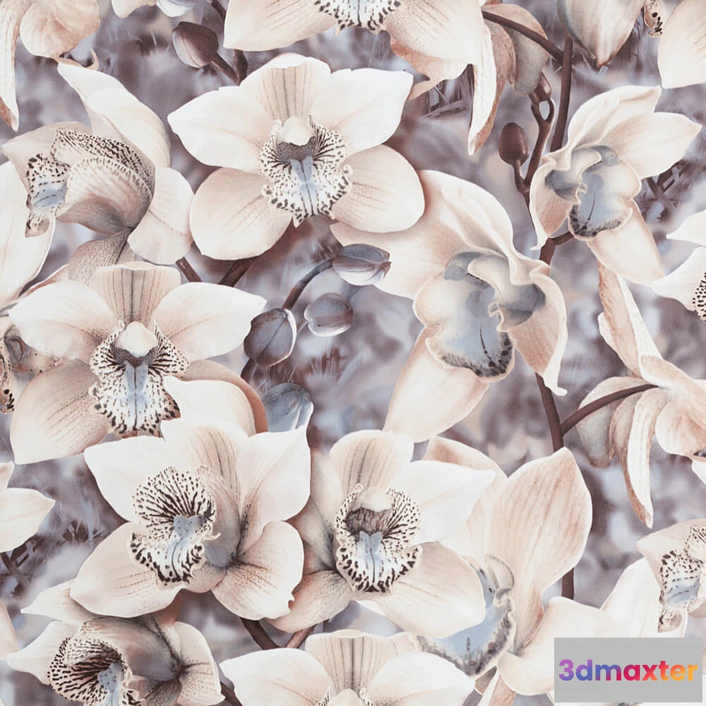 1680218 - PALITRA - Wallpaper Orchidea 3D Max
