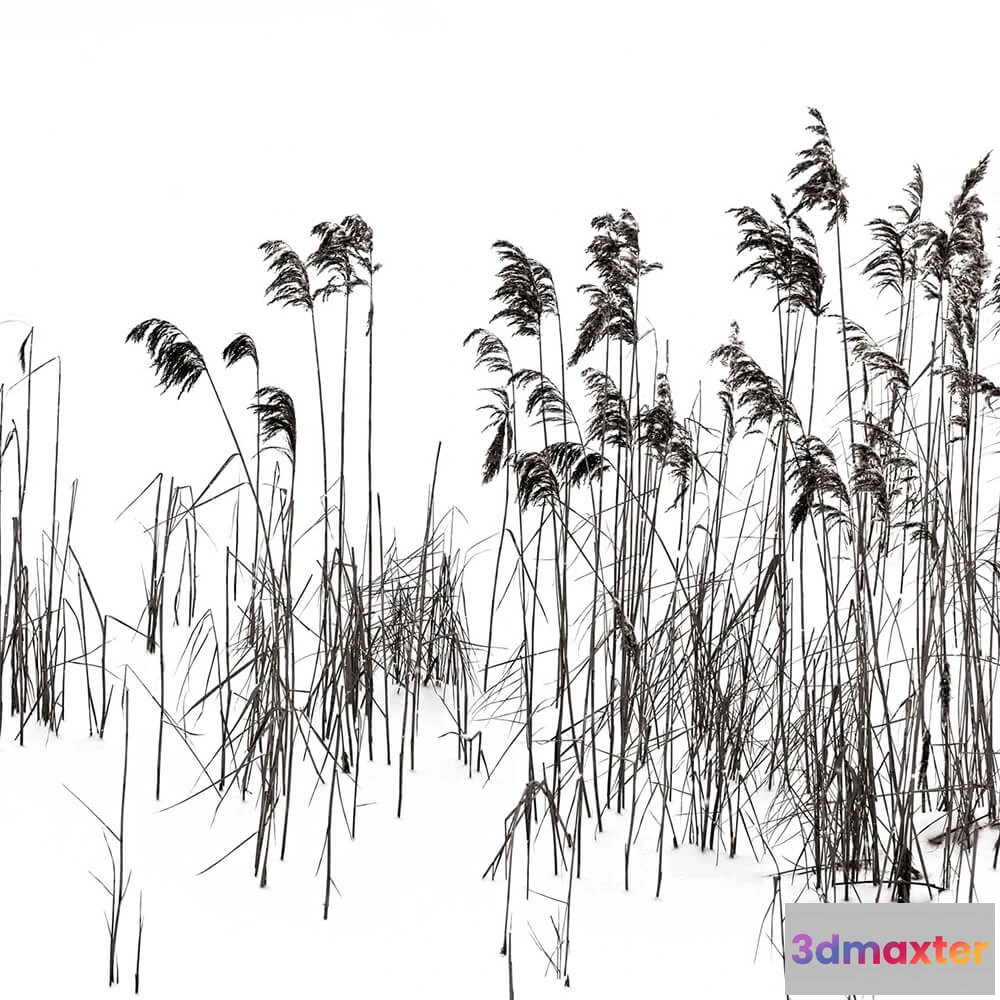 1680910 - Rimura - Wallpaper Soldera 3D Max