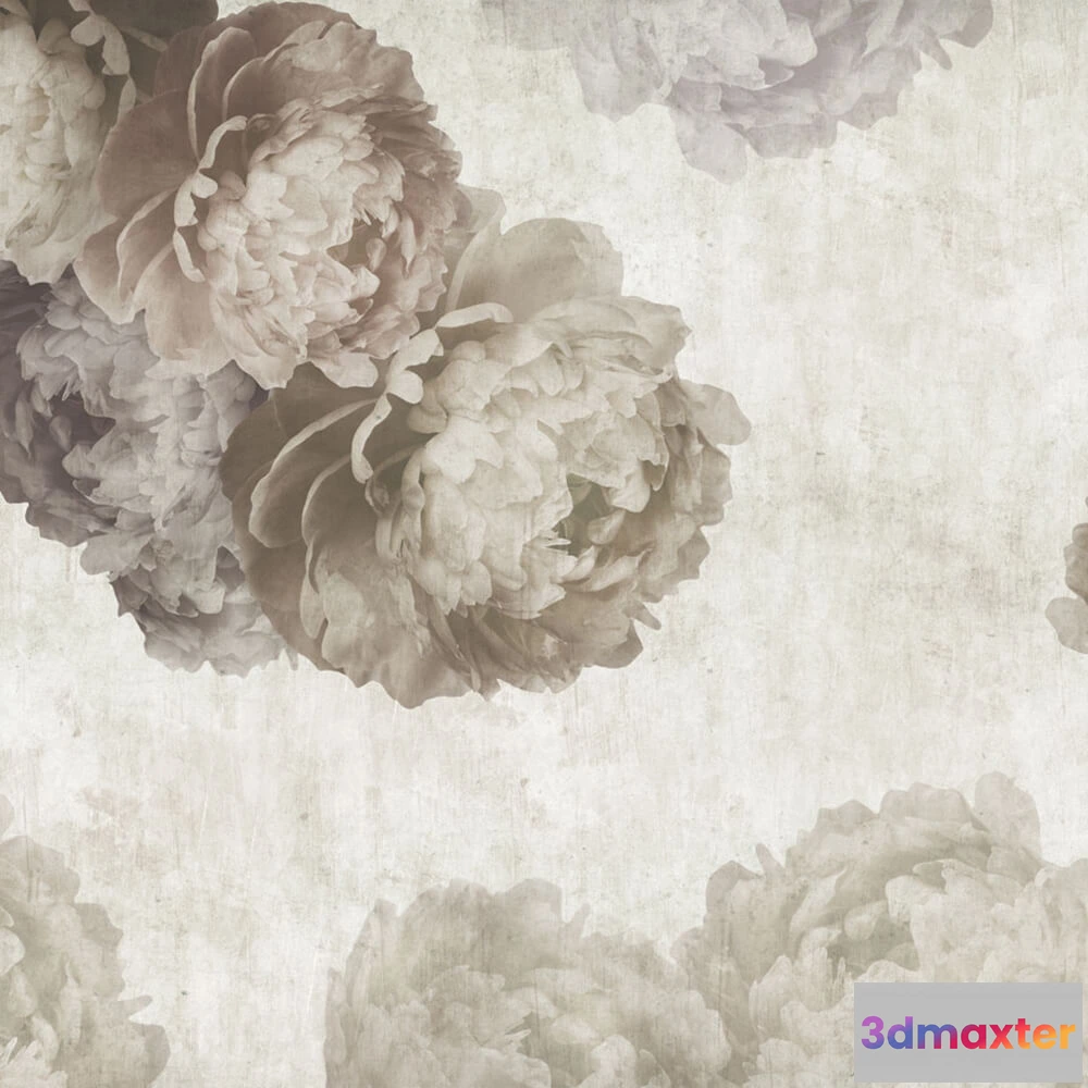 1680994 - Rimura - Wallpaper Peonia 3D Max